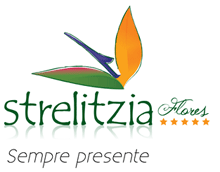 newlogo.gif (11189 bytes)